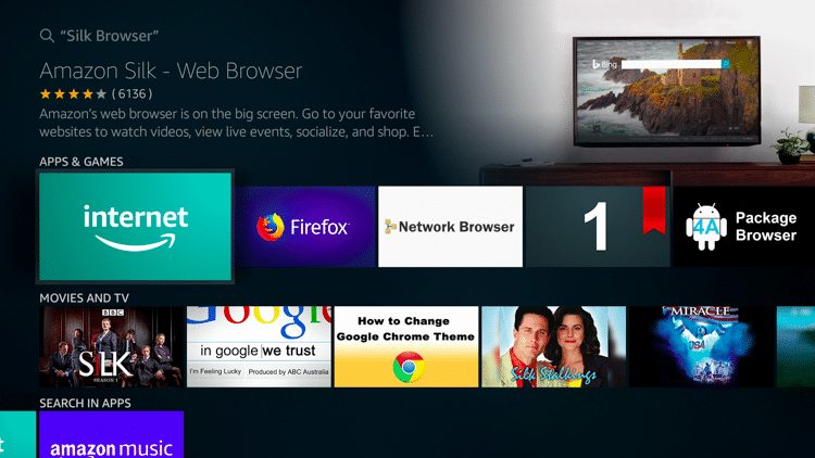 Install the Amazon Silk Browser for free on your Fire TV or Fire TV Stick through the Amazon App Store.