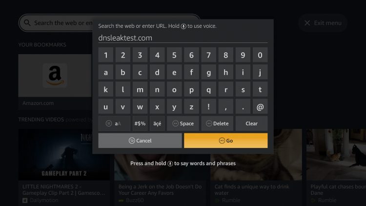 Within the address bar of the browser, type the following address - dnsleaktest.com and click Go