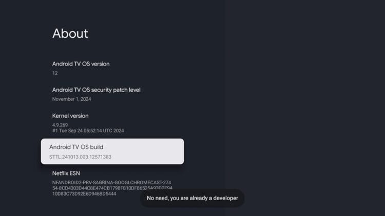 After doing this successfully you should see a message that reads "No need you are already a developer."