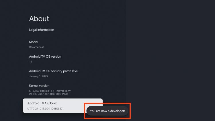 you are a developer message for developer options
