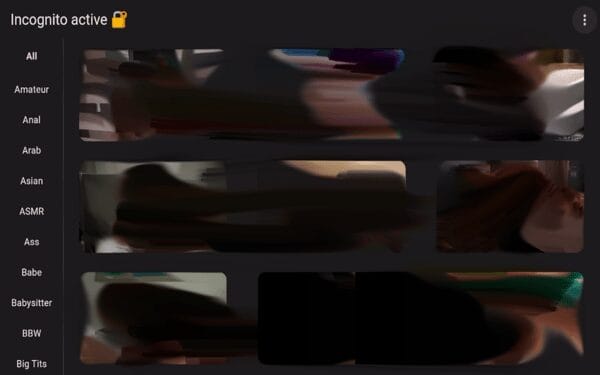 You have successfully installed the Incognito Play adult application on your Firestick.