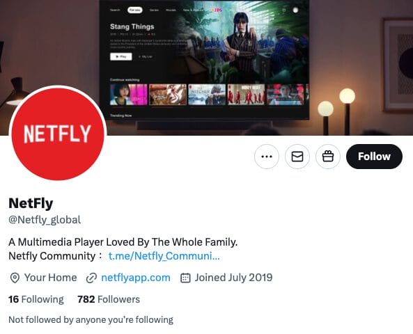 NetFly X Account