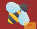 beetv apk