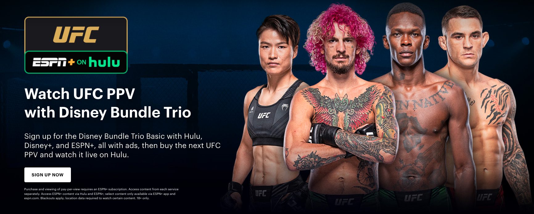 Hulu PPV Website