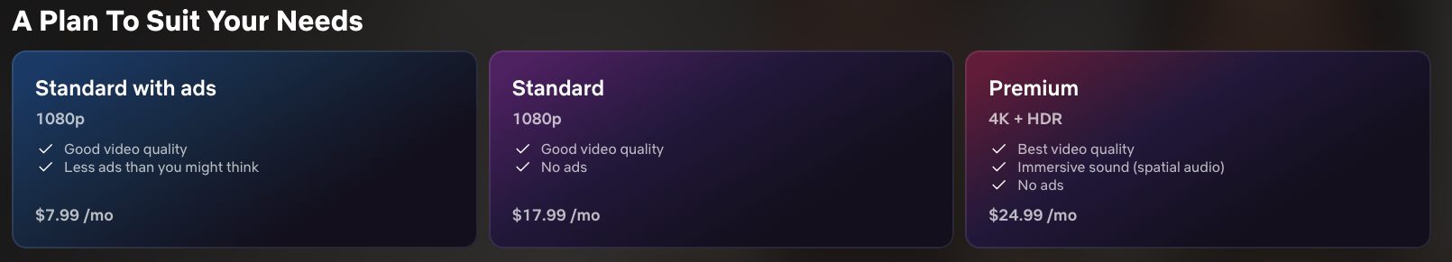 Netflix Subscriptions