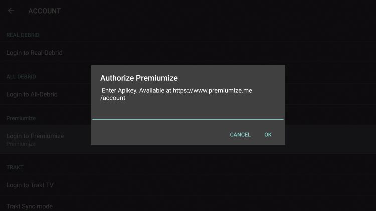 You are then prompted to provide an API Key.