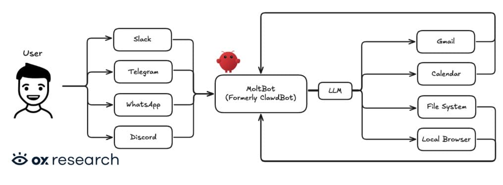 Moltbot Connections Diagram