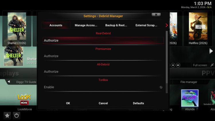 Debrid Service Manager in Darkseid Build