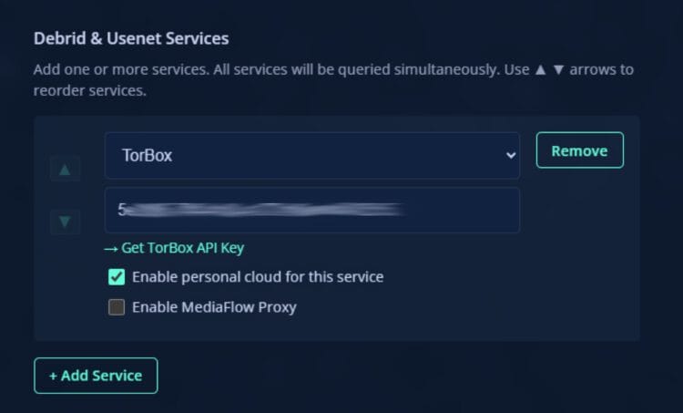 choose torbox and input api key