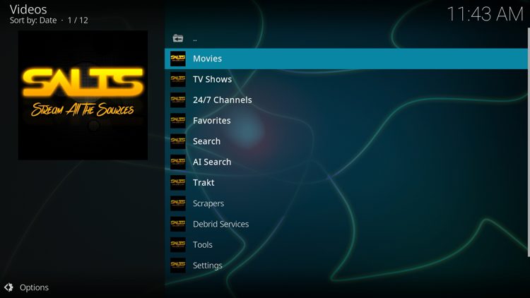 You have successfully installed the SALTS add-on!