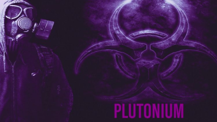 You have successfully installed the Plutonium build. Now wait a few seconds for everything to load.